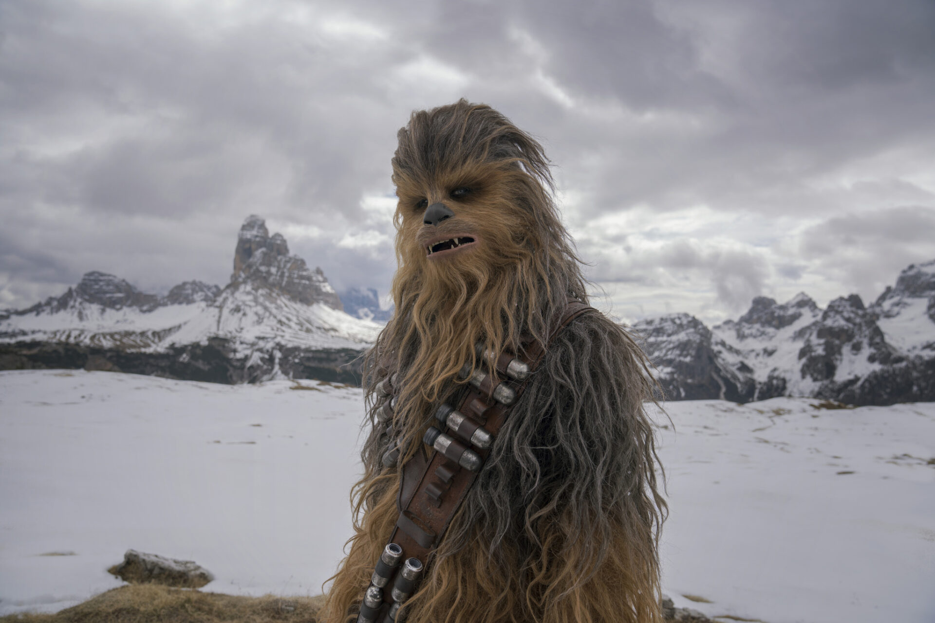 Characters that start with C, Chewbacca