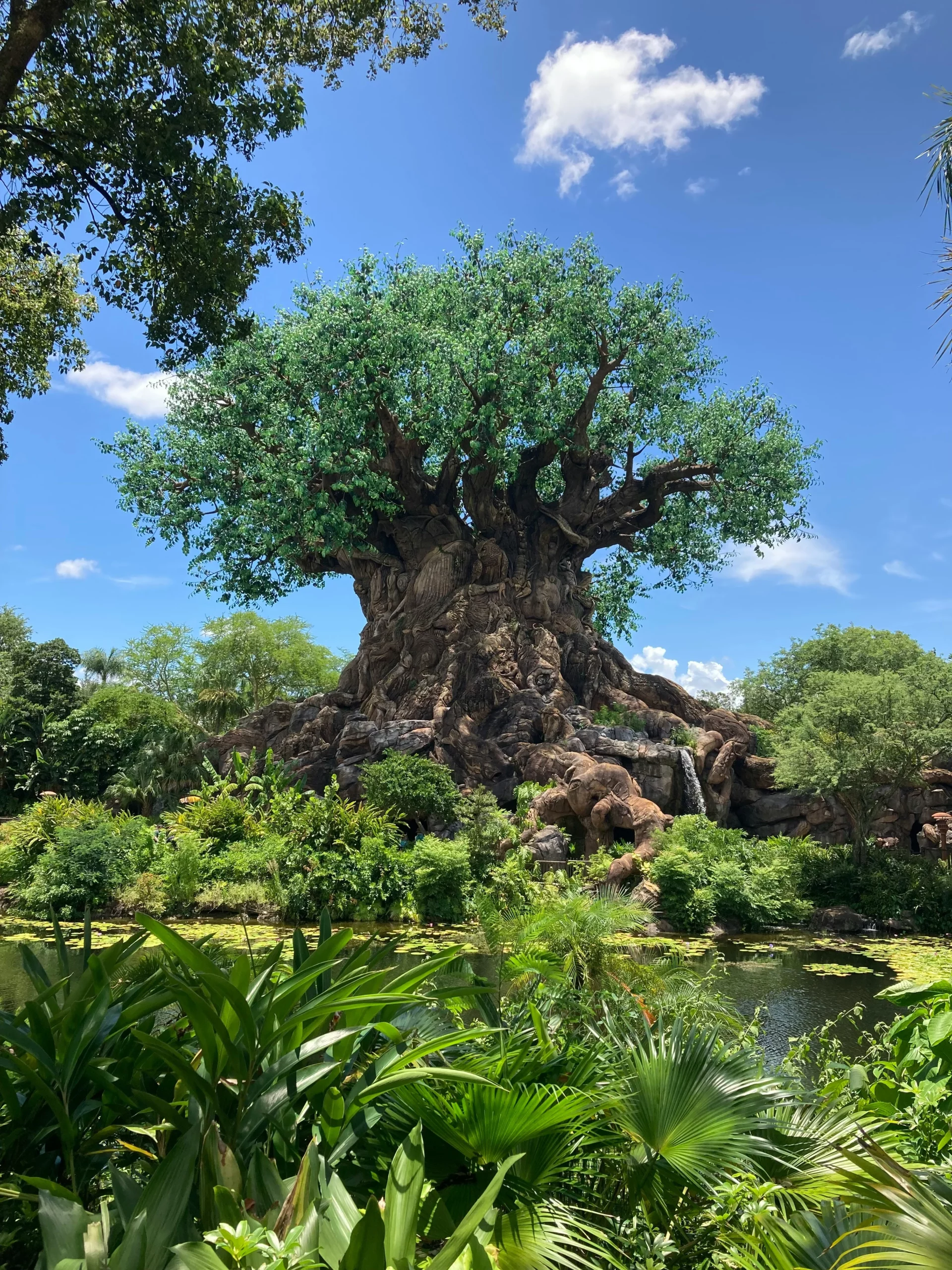 Animal Kingdom