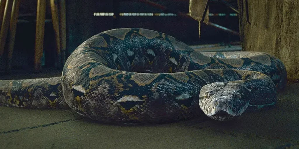 Characters beginning with N - Nagini