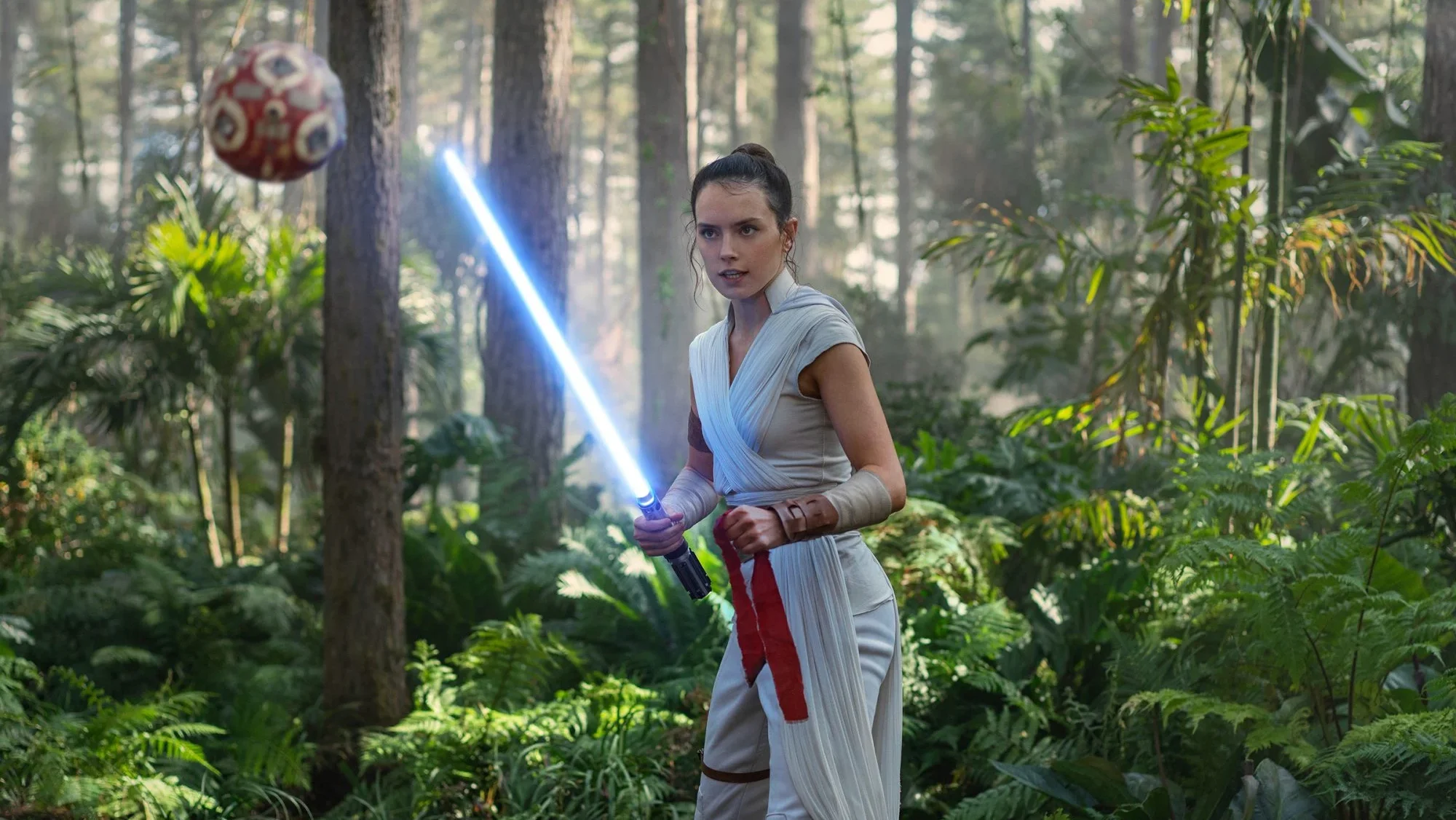 Rey Skywalker Training - Female Star Wars Characters