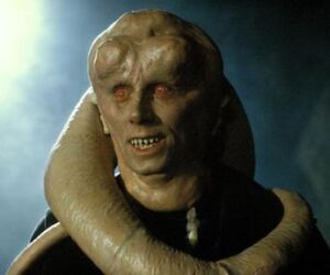 Bib Fortuna