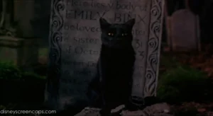 Thackery Binx