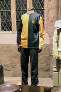 Cedric Diggory