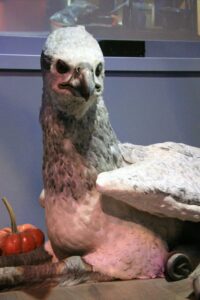 Buckbeak