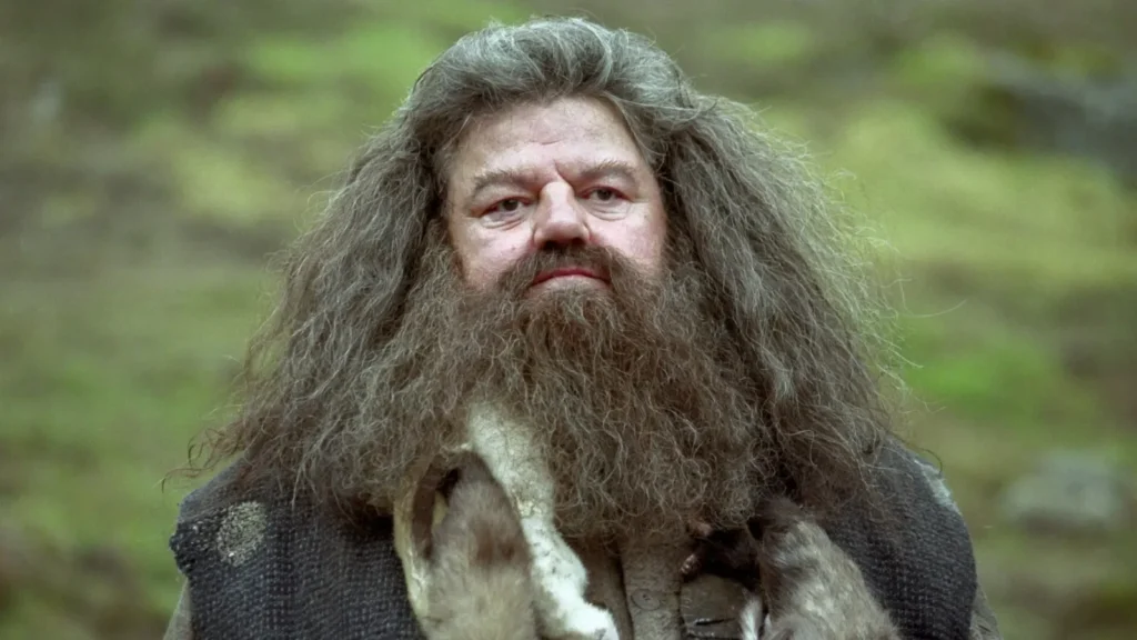 Characters Beginning With H - Hagrid