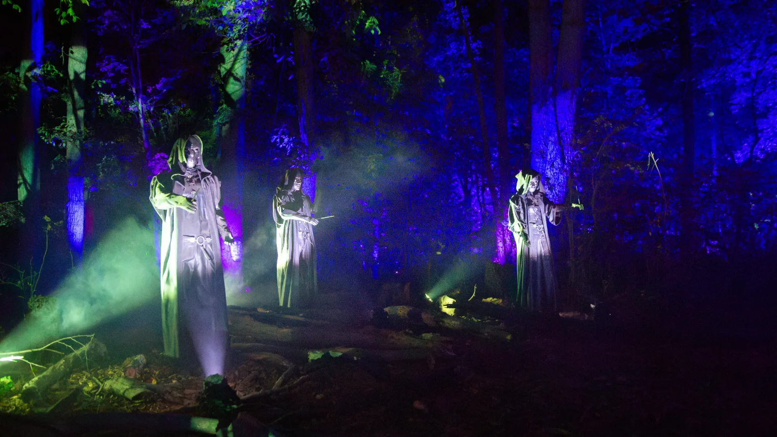 Three hooded Death Eater figures lit green and blue in a dark woodland clearing