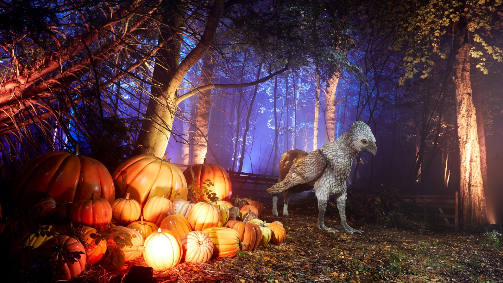 A Hippogriff figure beside a pile of lit pumpkins in a misty woodland
