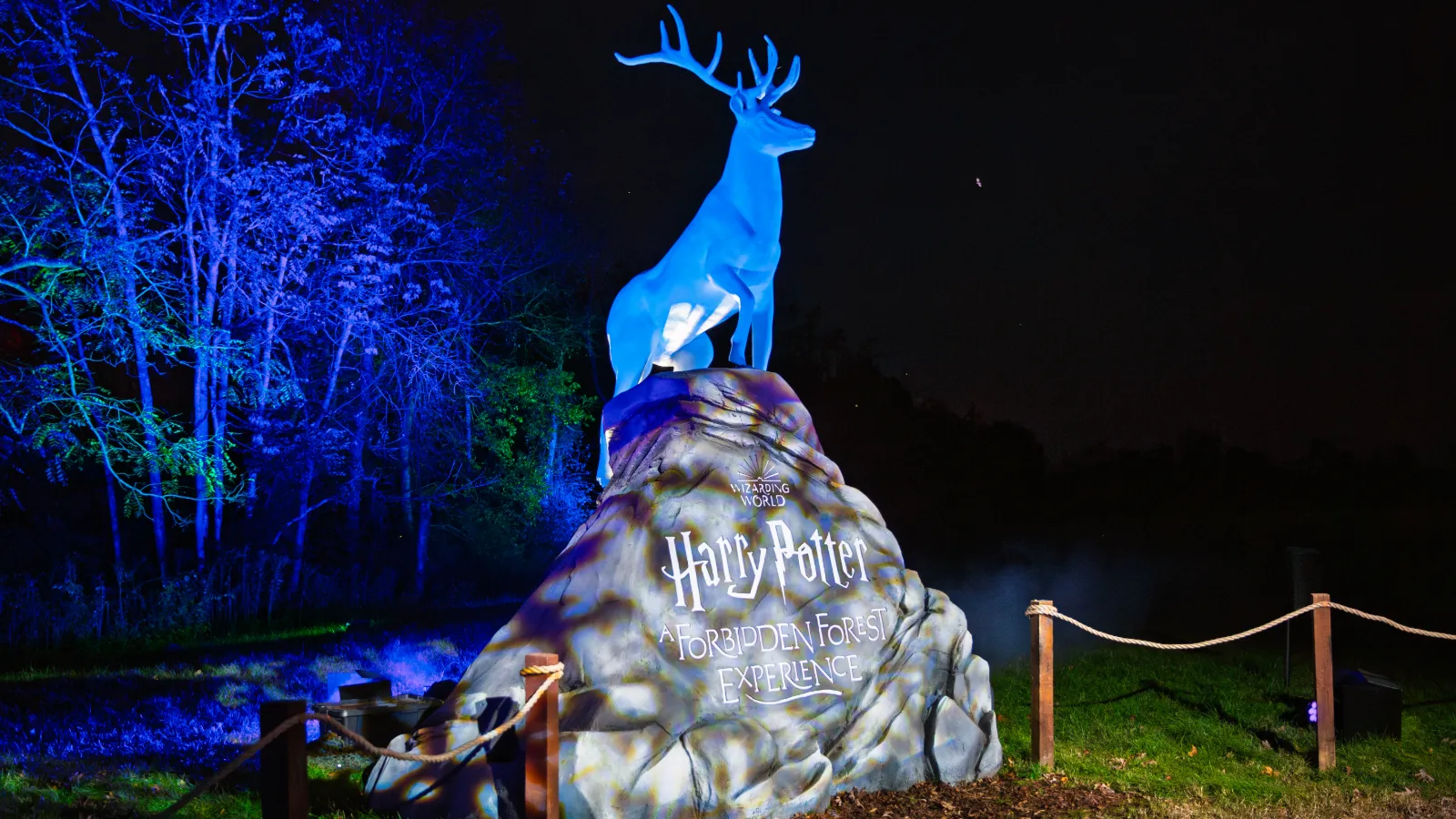 A glowing blue Patronus stag on the carved Harry Potter Forbidden Forest Experience sign at Bolesworth Castle